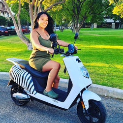 Zebra All Electric Moped