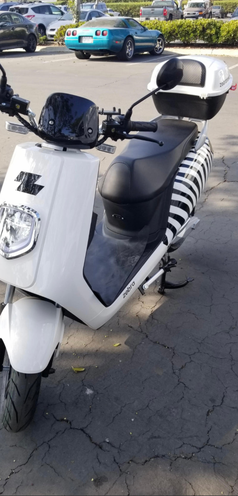 Zebra All Electric Moped