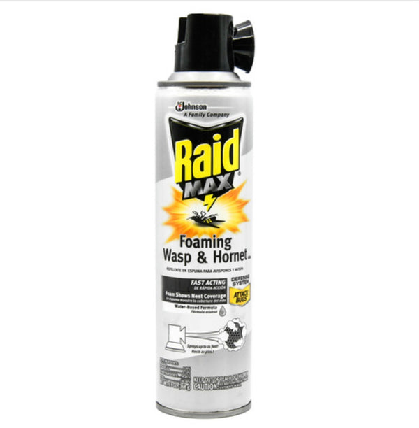 Raid Foaming Wasp & Hornet Spray 13 oz