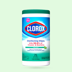 Clorox Wipes Fresh Scent 75 Wipes